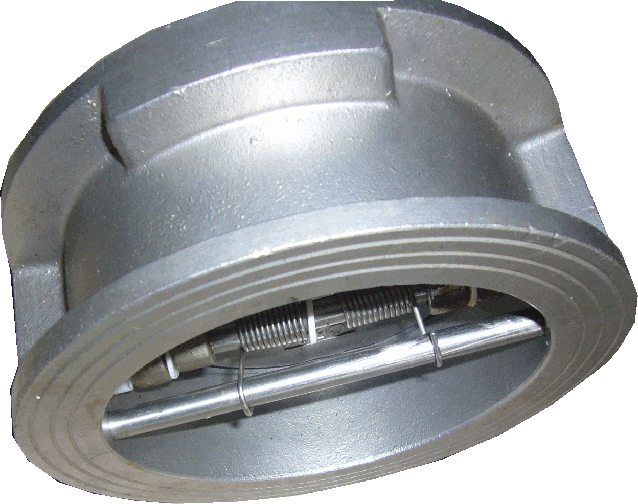 Product Recovery Management, Inc., 10 Inch 304 Stainless Steel Dual Plate Wafer Style Check Valve, Viton Seat